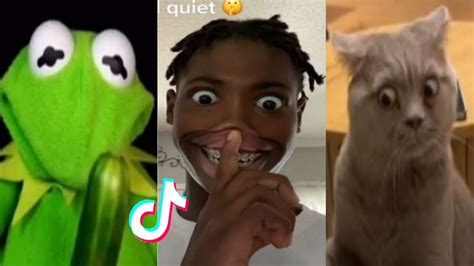 memes de tik tok|funny tiktok meme pictures.